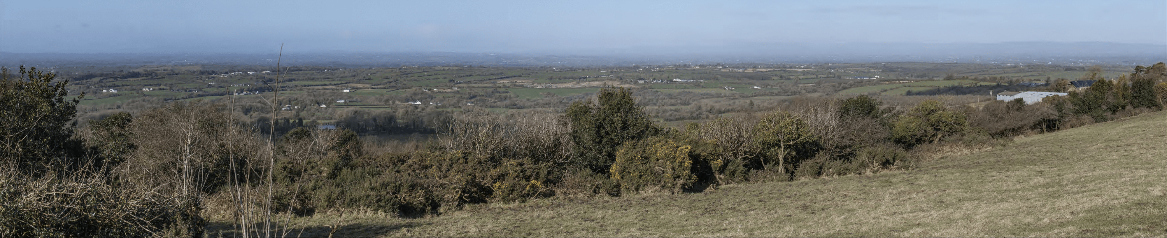 Pinewoods area